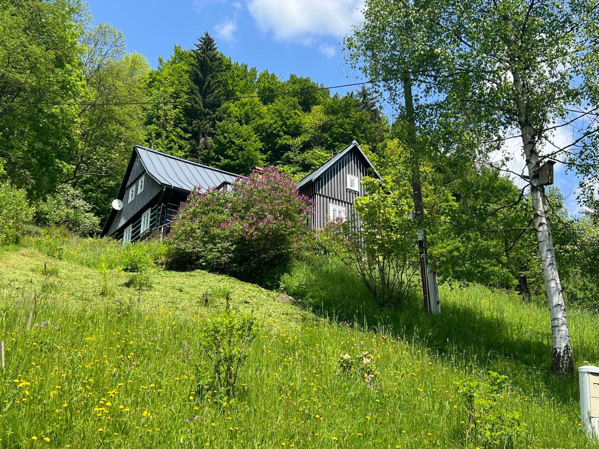 Villa Roubenka Bratrouchov Jablonec nad Jizerou Exterior foto